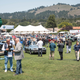 Illustration for article titled The Quail Is How The Fanciest People Do Car Shows